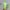 abe34045d0abbc482cec4efee978f731